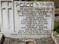 George Wilks War